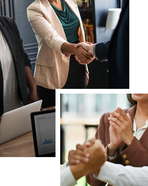 Professionals shaking hands